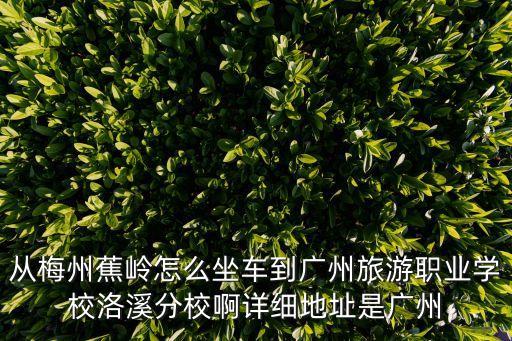 廣州到蕉嶺自駕游，從梅州蕉嶺怎么坐車到廣州旅游職業學校洛溪分校啊詳細地址是廣州