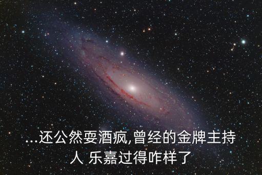 ...還公然耍酒瘋,曾經的金牌主持人 樂嘉過得咋樣了