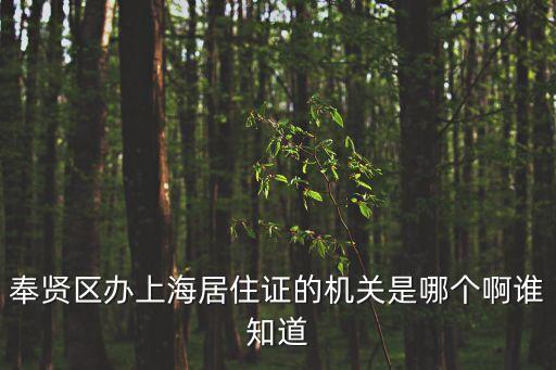 奉賢區(qū)辦上海居住證的機關(guān)是哪個啊誰知道