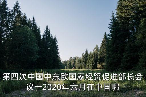 深圳中東歐經貿促進會，中東歐博覽會要買門票嗎網上可以買嗎