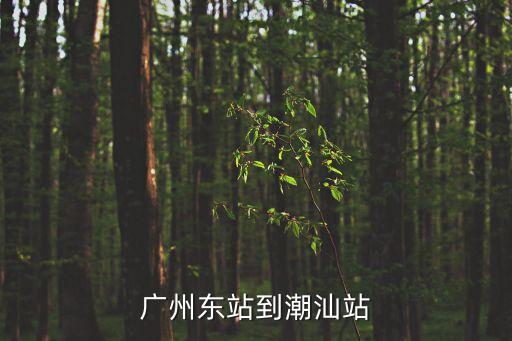 廣州東站到潮汕站