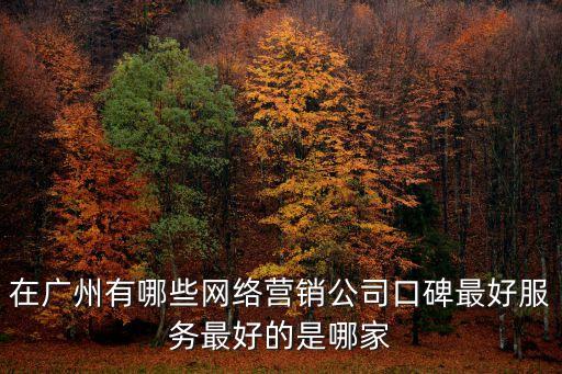 廣州互聯網營銷，目前廣州網絡營銷公司主要是做哪方面的營銷包括什么