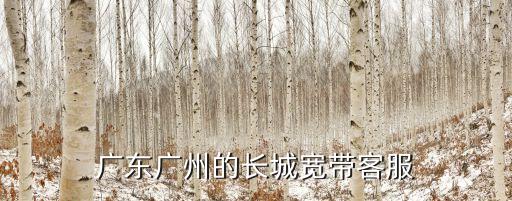 廣州長(zhǎng)城寬帶撥號(hào)，廣州長(zhǎng)誠(chéng)寬帶客服電話(huà)是多少啊