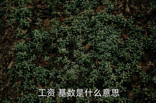  工資 基數是什么意思