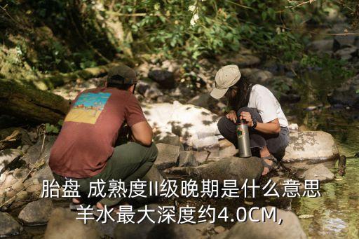 胎盤成熟度