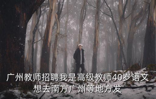 廣州教師招聘我是高級教師40歲語文想去南方廣州等地方發(fā)