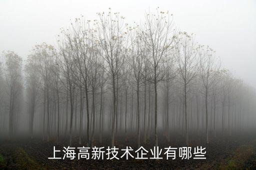 2016年度上海市科技型，2016年上海電氣工程師會人機PLC伺服機器視覺平均薪水