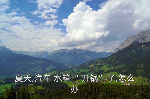 水箱開鍋,單缸柴油機水箱開鍋