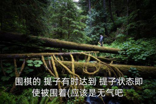 圍棋提子