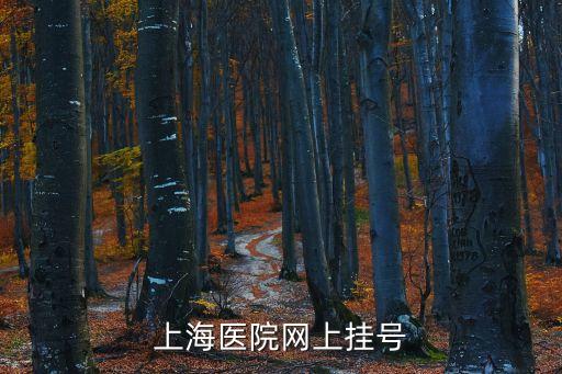 預約掛號電話 上海市，上海醫院網上掛號