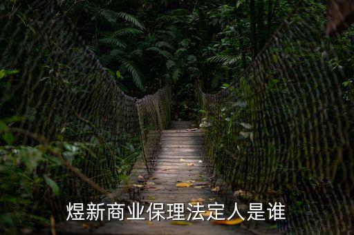 深圳煜新保理，深圳做的好一點的商業(yè)保理公司有哪些