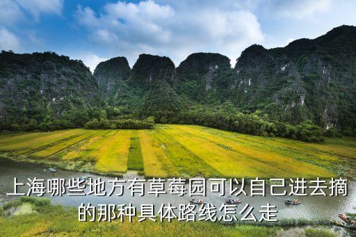 上海市郊采草莓農家樂，上海哪些地方有草莓園可以自己進去摘的那種具體路線怎么走