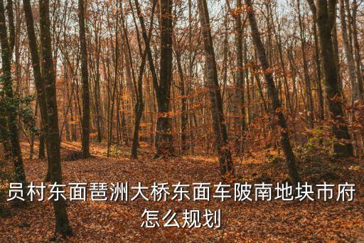 員村東面琶洲大橋東面車陂南地塊市府怎么規劃