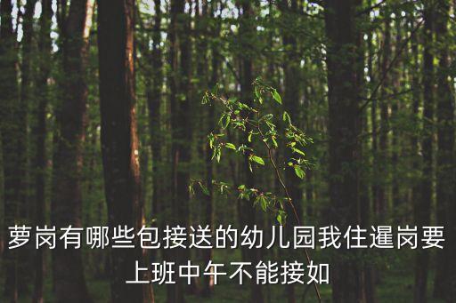 蘿崗有哪些包接送的幼兒園我住暹崗要上班中午不能接如