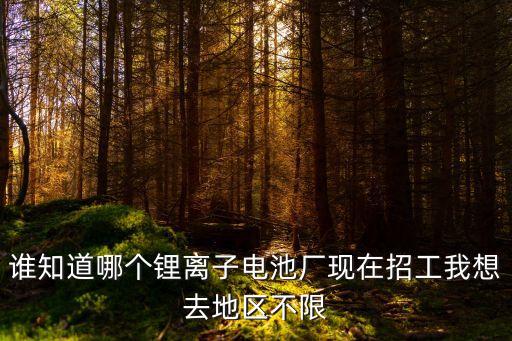 誰知道哪個(gè)鋰離子電池廠現(xiàn)在招工我想去地區(qū)不限