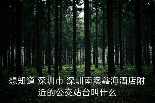 深圳南澳鑫海度假村 旅館，想知道 深圳市 深圳南澳鑫海酒店附近的公交站臺叫什么