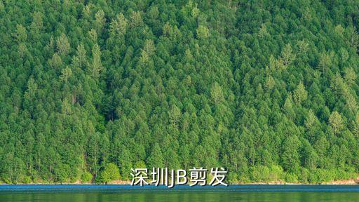 深圳發廊zj論壇，深圳JB剪發