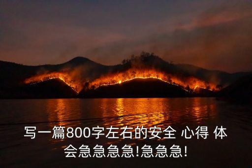 寫(xiě)一篇800字左右的安全 心得 體會(huì)急急急急!急急急!