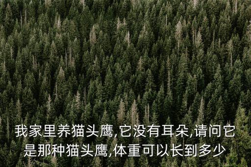 我家里養(yǎng)貓頭鷹,它沒有耳朵,請(qǐng)問它是那種貓頭鷹,體重可以長(zhǎng)到多少