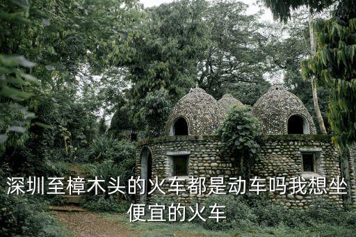 深圳至樟木頭的火車都是動車嗎我想坐便宜的火車