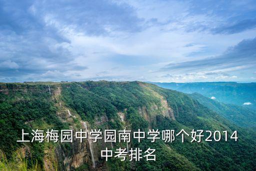 上海梅園中學園南中學哪個好2014中考排名