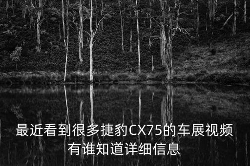 最近看到很多捷豹CX75的車展視頻有誰知道詳細信息