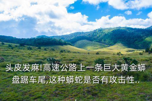 巖蟒,巨蟒有多厲害?應(yīng)該比蟒厲害一些