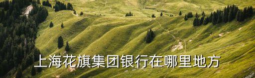 上海花旗集團(tuán)銀行在哪里地方