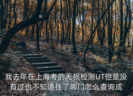 我去年在上海考的無損檢測UT但是沒有過也不知道掛了哪門怎么查詢成