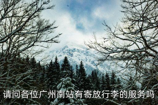 廣州南站小件寄存，請(qǐng)問各位廣州南站有寄放行李的服務(wù)嗎
