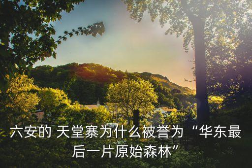 六安的 天堂寨為什么被譽(yù)為“華東最后一片原始森林”