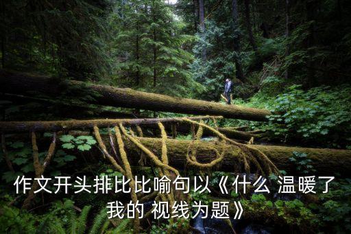 作文開頭排比比喻句以《什么 溫暖了我的 視線為題》