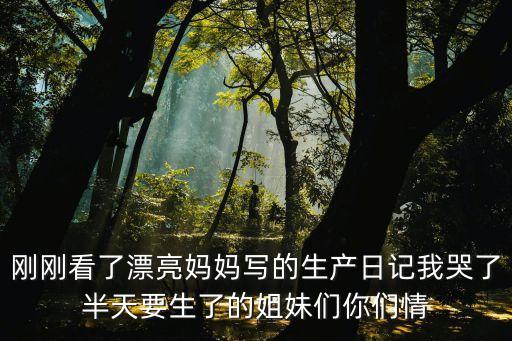港大深圳醫院生產日記，生產日志怎么寫