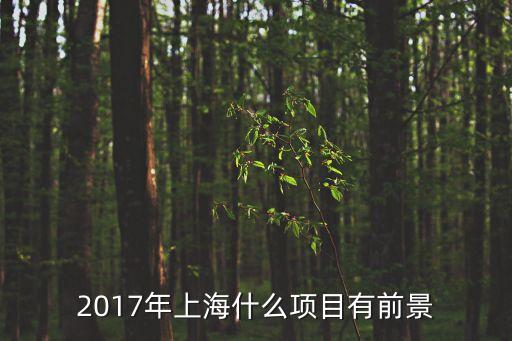 2017 上海市實事項目，2017年上海什么項目有前景