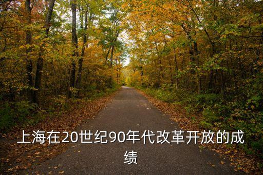 上海在20世紀(jì)90年代改革開放的成績(jī)