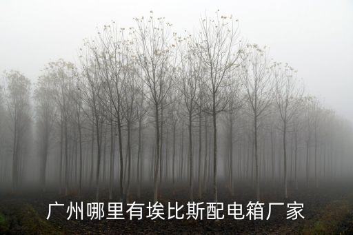 廣州哪里有埃比斯配電箱廠家