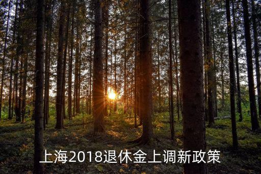 2018養老保險新政策上海市，上海2018退休金上調新政策