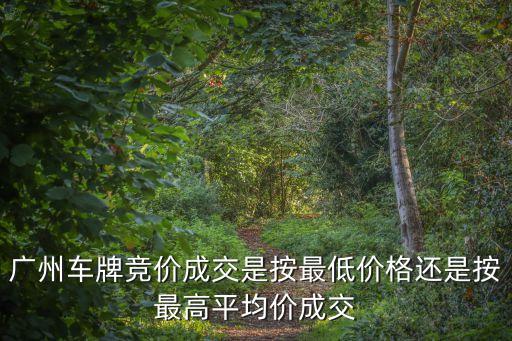 廣州竟拍號如何出價(jià)，廣州車牌搖號改競價(jià)如何操作