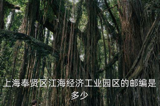 上海市奉賢江海園區，上海奉賢區江海經濟工業園區的郵編是多少