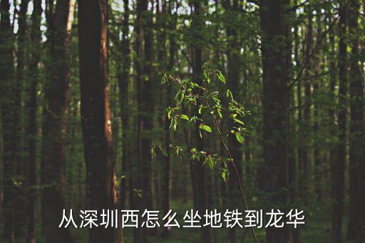 深圳到龍華的地鐵，從深圳西怎么坐地鐵到龍華