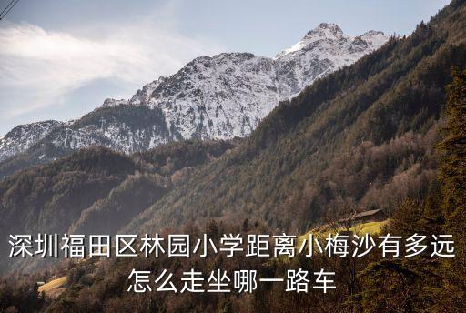 深圳福田區林園小學距離小梅沙有多遠怎么走坐哪一路車