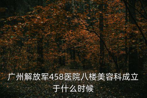 廣州海逸半島百科，廣州太平洋電腦城的區域