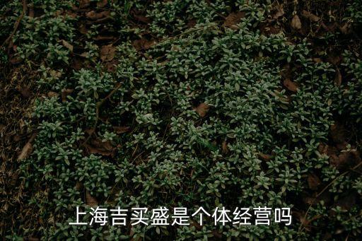 上海吉買盛是個體經營嗎