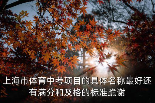 上海市體育中考全名，關于上海中考體育