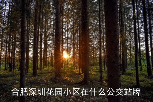 合肥深圳花園小區門面，合肥深圳花園小區在什么公交站牌