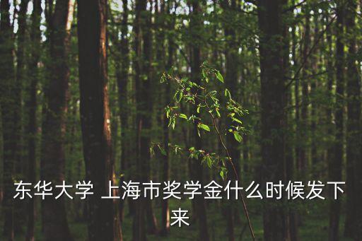東華大學(xué) 上海市獎(jiǎng)學(xué)金什么時(shí)候發(fā)下來