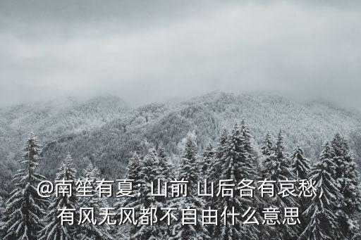 @南笙有夏: 山前 山后各有哀愁,有風無風都不自由什么意思