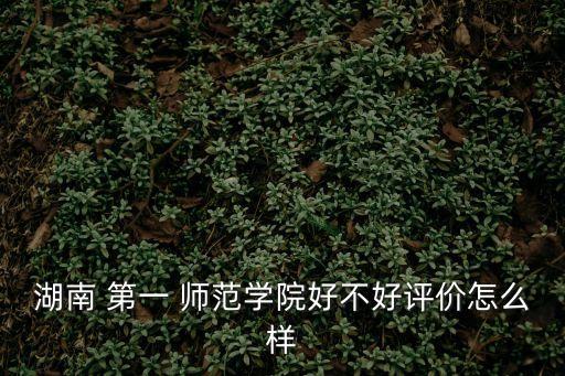 湖南 第一 師范學院好不好評價怎么樣