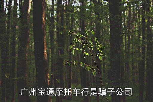 廣州聯寶通公司是騙局，廣州寶通擔保有限公司是不是騙子
