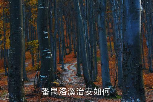 番禺洛溪治安如何